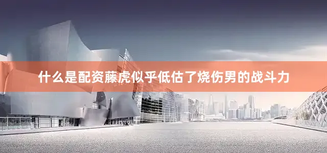 什么是配资藤虎似乎低估了烧伤男的战斗力