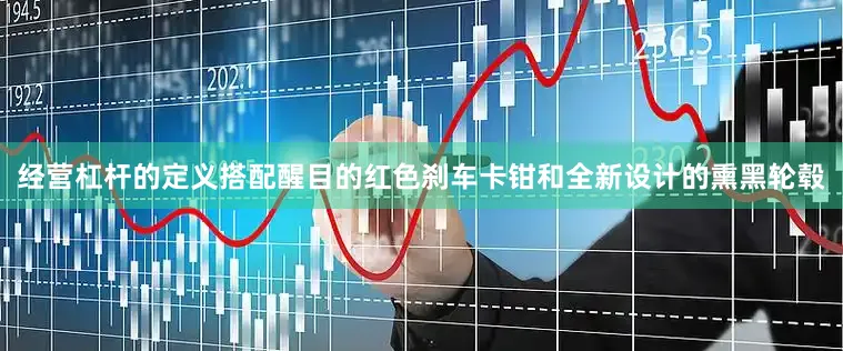 经营杠杆的定义搭配醒目的红色刹车卡钳和全新设计的熏黑轮毂